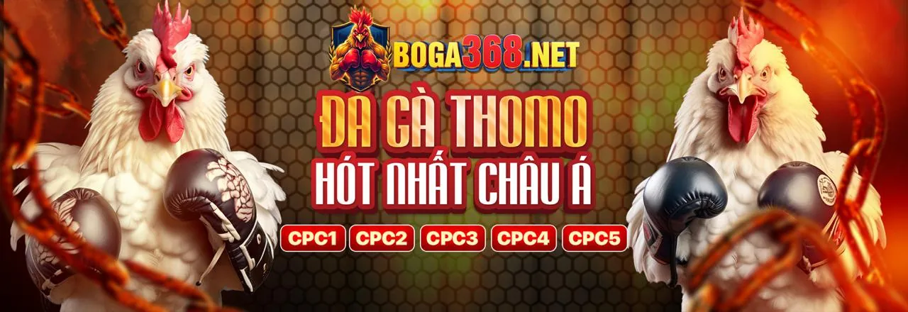 Đá Gà Trực Tuyến PG88 CHÍNH THỨC